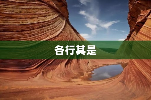 各行其是:如何在不同的行业中做好自己