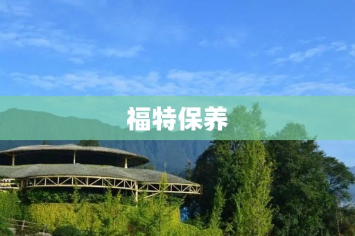 福特保养:维护您爱车的健康 福特保养:维护您爱车的健康