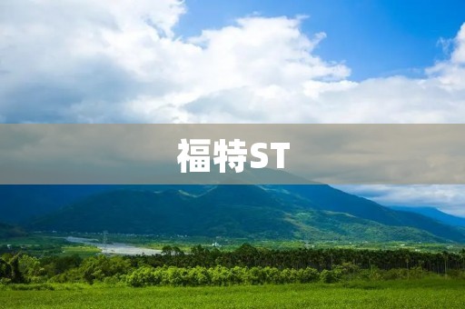 福特ST:一款动感十足的运动车 福特ST:一款动感十足的运动车
