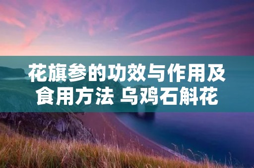 花旗参的功效与作用及食用方法 乌鸡石斛花旗参的功效与作用及食用方法
