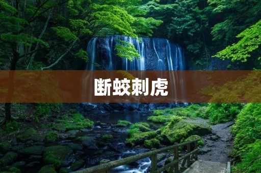 断蛟刺虎:勇气和智慧的完美结合 断蛟刺虎:勇气和智慧的完美结合