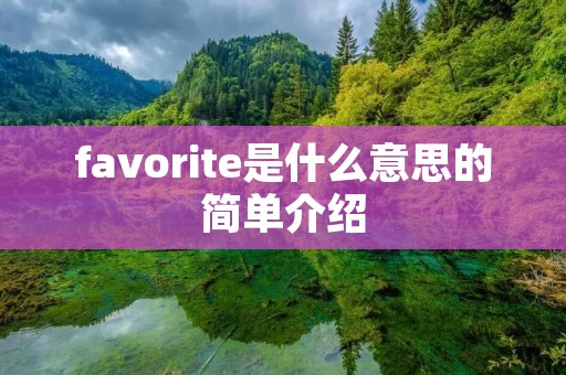 favorite是什么意思的简单介绍