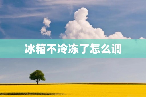 冰箱不冷冻了怎么调:详细解决方案 冰箱不冷冻了怎么调:详细解决方案