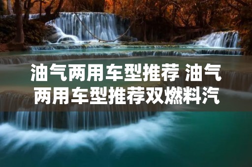 油气两用车型推荐 油气两用车型推荐双燃料汽车货车