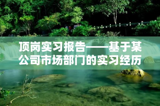 顶岗实习报告——基于某公司市场部门的实习经历