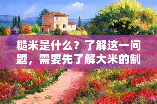 糙米是什么？了解这一问题，需要先了解大米的制作过程。大米是指经过加工后，将稻谷的外层、胚芽和一部分米糠去除，留下内部的米粒。而糙米则是指没有经过这些加工处理的大米，保留了米粒的所有部分，包括外层的稻壳、内层的胚芽和一部分米糠。由于糙米保留了大量的营养成分，因此近年来备受人们青睐。