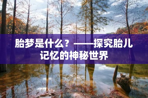 胎梦是什么?——探究胎儿记忆的神秘世界 胎梦是什么?——探究胎儿记忆的神秘世界