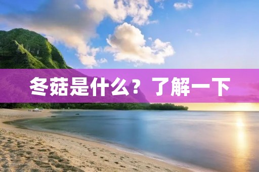 冬菇是什么?了解一下 冬菇是什么?了解一下