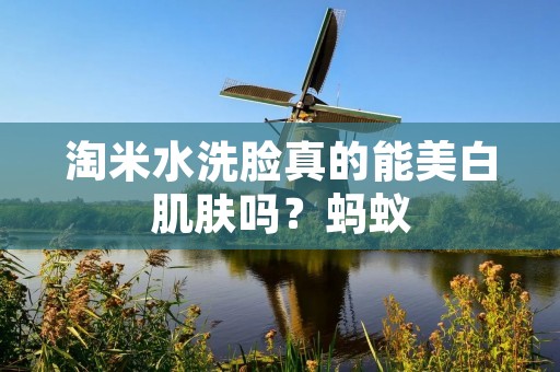 淘米水洗脸真的能美白肌肤吗？蚂蚁