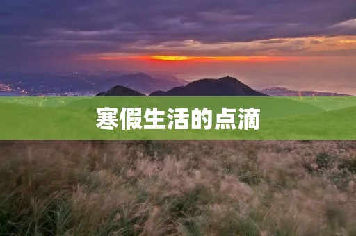 寒假生活的点滴 寒假生活的点滴