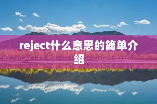 reject什么意思的简单介绍