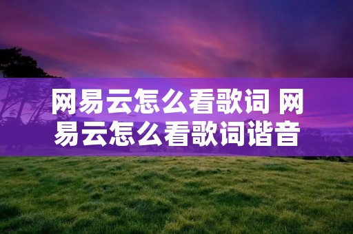 网易云怎么看歌词 网易云怎么看歌词谐音