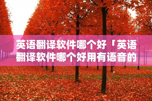 英语翻译软件哪个好「英语翻译软件哪个好用有语音的」