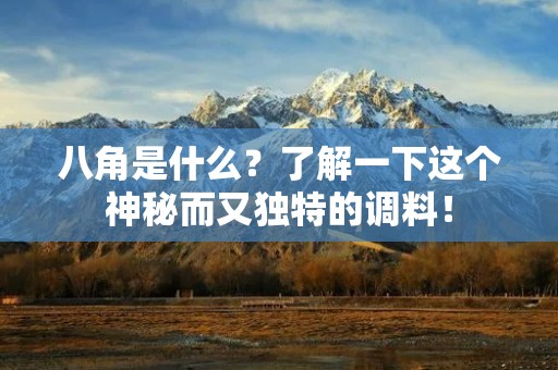 八角是什么？了解一下这个神秘而又独特的调料！