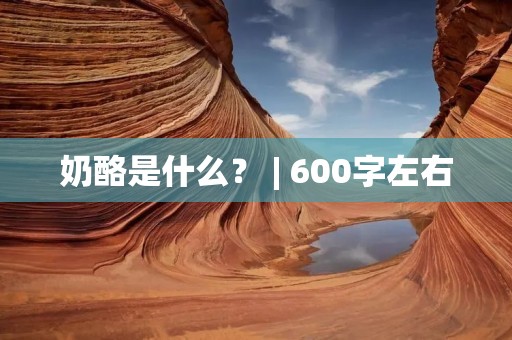 奶酪是什么? | 600字左右 奶酪是什么? | 600字左右