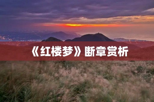 《红楼梦》断章赏析 《红楼梦》断章赏析