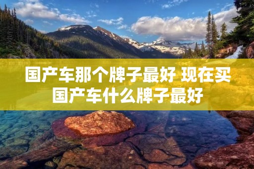 国产车那个牌子最好 现在买国产车什么牌子最好 国产车那个牌子最好 现在买国产车什么牌子最好