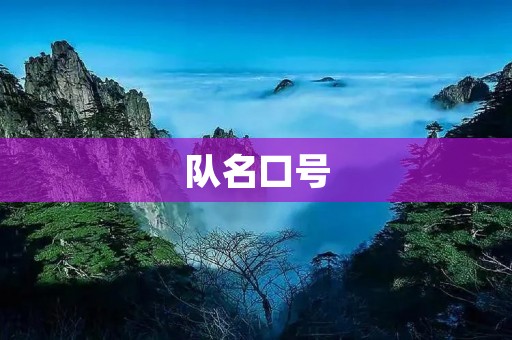 队名口号：创新之路，勇攀高峰