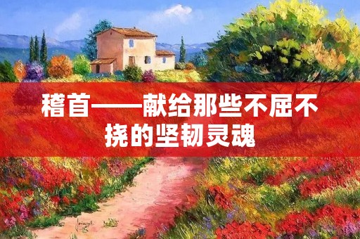 稽首——献给那些不屈不挠的坚韧灵魂