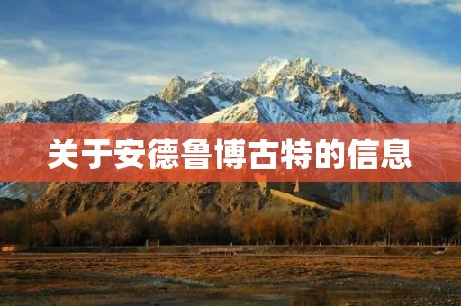关于安德鲁博古特的信息