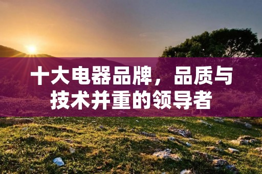 十大电器品牌,品质与技术并重的领导者 十大电器品牌,品质与技术并重的领导者