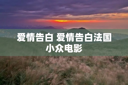 爱情告白 爱情告白法国小众电影 爱情告白 爱情告白法国小众电影