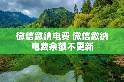 微信缴纳电费 微信缴纳电费余额不更新