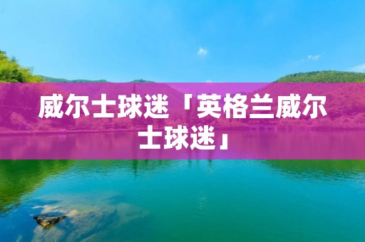 威尔士球迷「英格兰威尔士球迷」