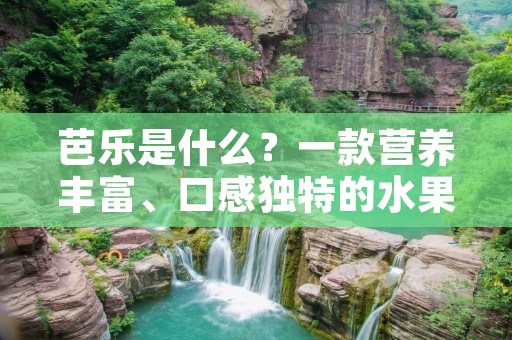 芭乐是什么?一款营养丰富、口感独特的水果 芭乐是什么?一款营养丰富、口感独特的水果