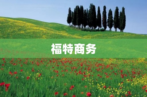福特商务:打造高效商务出行新标杆