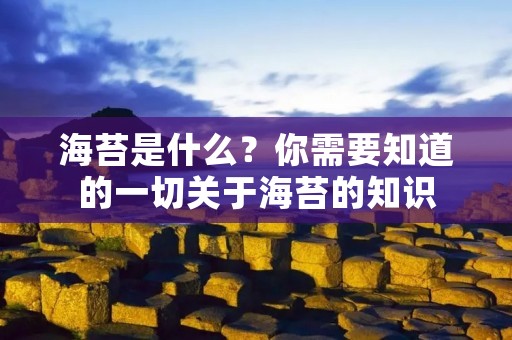 海苔是什么？你需要知道的一切关于海苔的知识