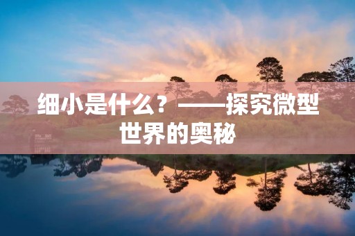 细小是什么？——探究微型世界的奥秘