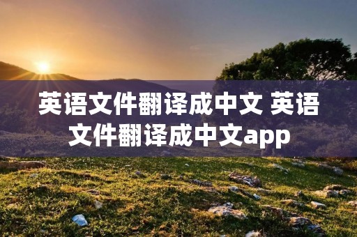 英语文件翻译成中文 英语文件翻译成中文app