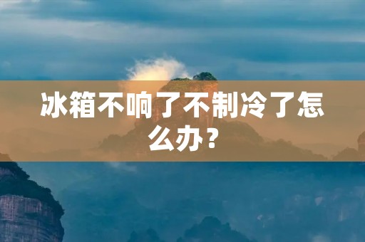 冰箱不响了不制冷了怎么办？