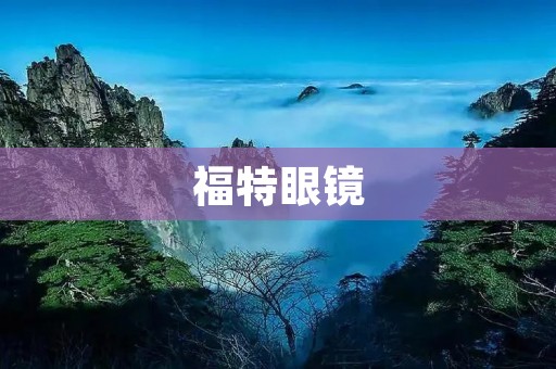 福特眼镜：一款时尚、实用的眼镜品牌