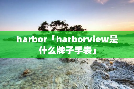 harbor「harborview是什么牌子手表」 harbor「harborview是什么牌子手表」