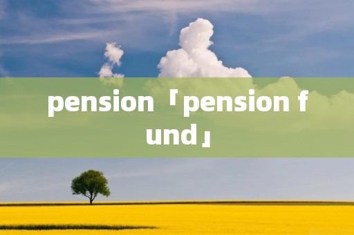 pension「pension fund」