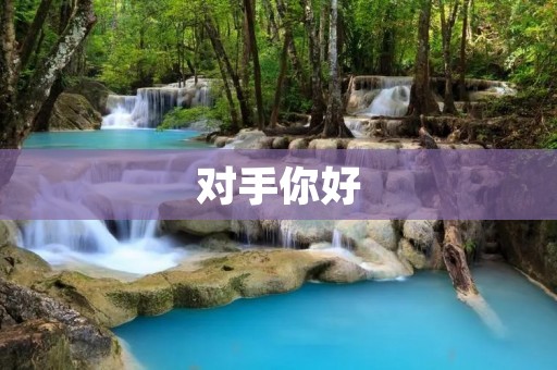 对手你好：探究竞争中的合作之道