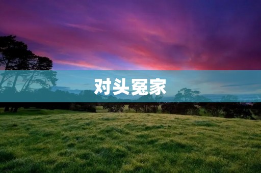 对头冤家：当竞争对手成为合作伙伴