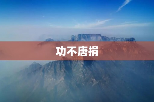 功不唐捐：一个旧时代的传奇