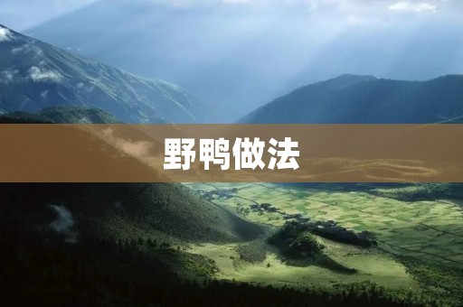野鸭做法：美味佳肴尽在家中