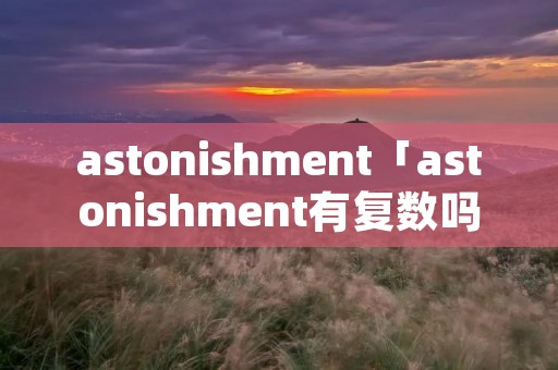 astonishment「astonishment有复数吗」