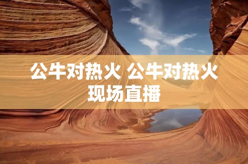 公牛对热火 公牛对热火现场直播