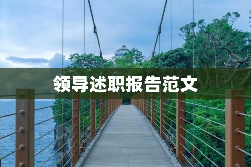 领导述职报告范文:深入贯彻落实党的十九大精神