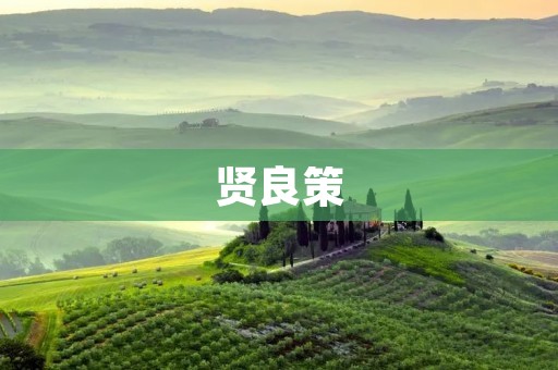 贤良策：以智慧与德行引领时代