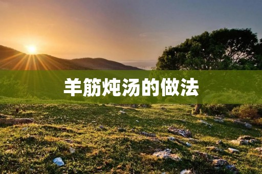 羊筋炖汤的做法：一场美味的养生盛宴