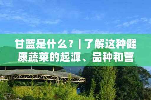 甘蓝是什么?| 了解这种健康蔬菜的起源、品种和营养价值 甘蓝是什么?| 了解这种健康蔬菜的起源、品种和营养价值