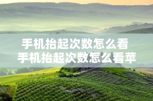 手机抬起次数怎么看 手机抬起次数怎么看苹果