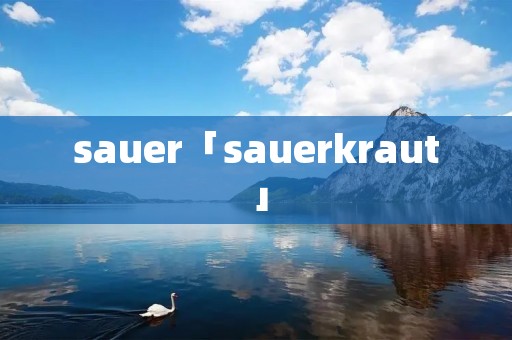 sauer「sauerkraut」 sauer「sauerkraut」