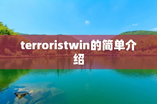 terroristwin的简单介绍
